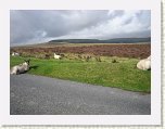 0478-Dartmoor Moors * 800 x 600 * (89KB)